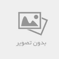 کلمه‌ها